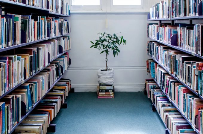 Library